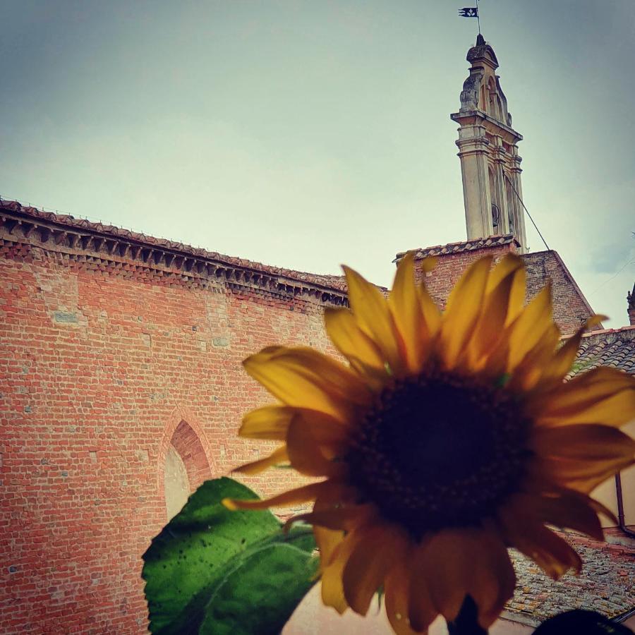 Appartaments San Francesco Castelfiorentino Dış mekan fotoğraf
